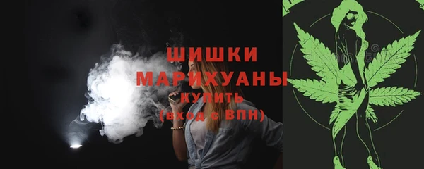 гашик Касимов