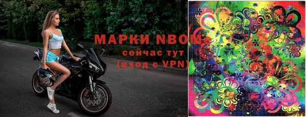 ГАЛЛЮЦИНОГЕННЫЕ ГРИБЫ Волосово