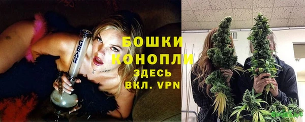 ГАЛЛЮЦИНОГЕННЫЕ ГРИБЫ Волосово