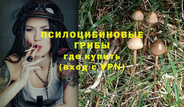ECSTASY Богородицк