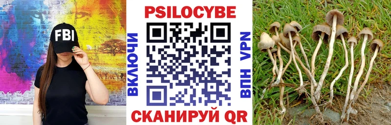 наркошоп  Жуков  Галлюциногенные грибы ЛСД 